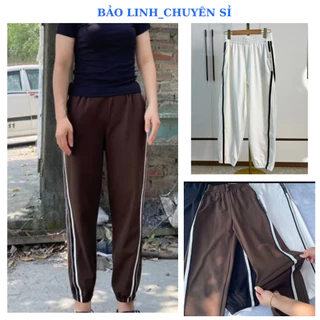 Quần Jogger Nữ Bigsize Bo Ống Cạp Chun bảo Linh Chuyên Sỉ Chất Umi Cao Cấp