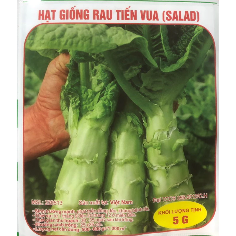 Hạt giống rau Tiến Vua 🌱