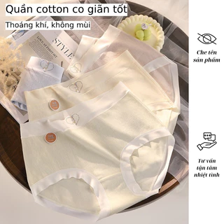 Quần Lót Nữ Bigsize Mập Bigsize Quần Lót  Cotton Nguyên Chất Đáy Quần Kháng Khuẩn Co Giãn Tốt Có Size Tới 100kg QL02