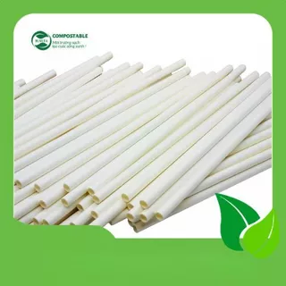 100 Ống hút giấy trắng cao cấp  (Không bọc) dùng một lần  thân thiện môi trường Hunufa Compostable