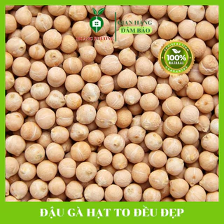 Hạt Đậu Gà Loại To 9mm Hữu Cơ Chickpeas Nhập Khẩu Mỹ/ Canada Hạt dinh dưỡng 500G Hoàng Phương