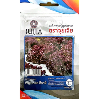 Hạt Giống Xà Lách Xoăn Tím F1 Juijia Thái Lan - Nguyên Gói 2 gram- Tỷ lệ nảy mầm 92%