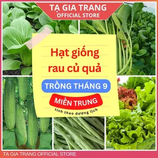 Hạt giống rau củ quả dễ trồng, năng suất cao tháng 9 ở miền Trung