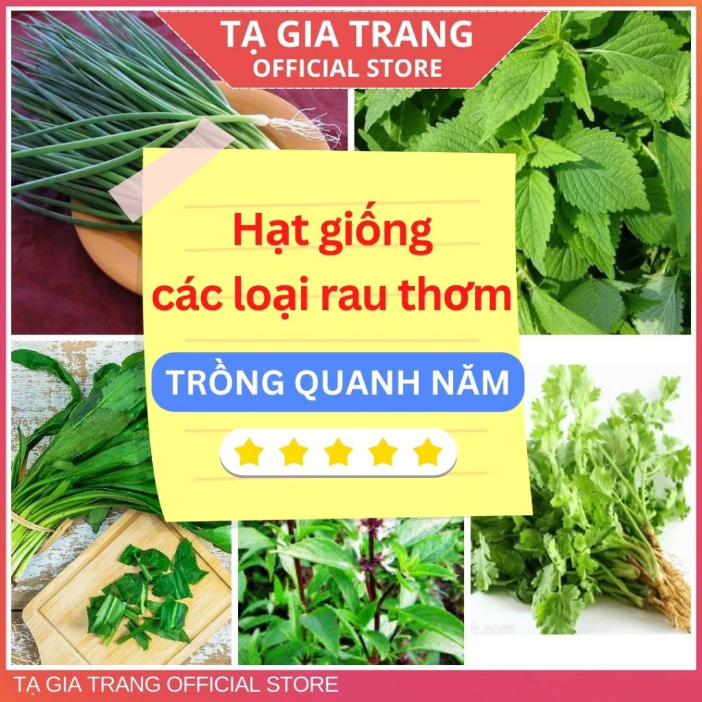 Hạt giống các loại rau gia vị, rau sống, rau thơm dễ trồng, trồng quanh năm