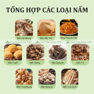 Nấm quý Vân Nam 20 loại tự chọn, nấm nấu canh, lẩu, hầm chim, tần gà tùy chọn - Chợ Thảo Dược Việt