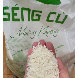 Gạo Séng Cù SFOOD 5kg, gạo Séng Cù Mường Khương hạt dài