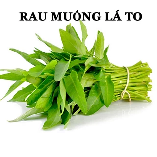 20 GRAM - HẠT GIỐNG RAU MUỐNG LÁ TO