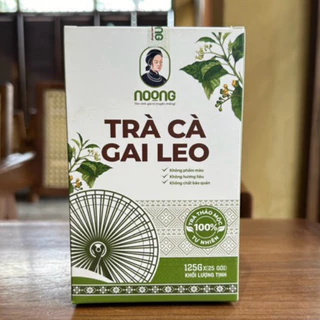 1 Hộp Trà Cà Gai Leo Nọong Túi Lọc