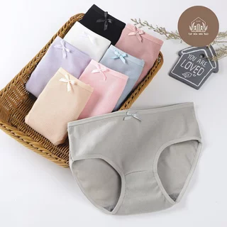 Quần Lót Nữ Cotton gân tăm kháng khuẩn đính nơ điệu đà dễ thương Danbikini mã A08