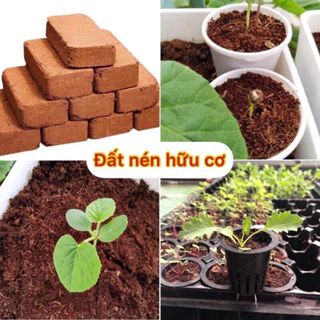 Đất trồng cây nén dạng viên sơ dừa, đất sạch hữu cơ vi sinh dinh dưỡng dạng viên cho hoa cây trồng cây,hoa siêu tiện