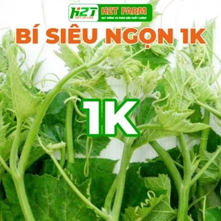 [DEAL 1K] 2 Hạt giống Bí Siêu Ngọn (Bí Lấy Ngọn) siêu đọt, giòn, ngọt, trồng quanh năm gói 1 gr