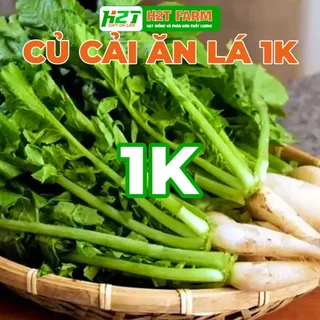 [DEAL 1K] 20 Hạt Giống Củ Cải Ăn Lá Dễ Trồng, Năng Suất