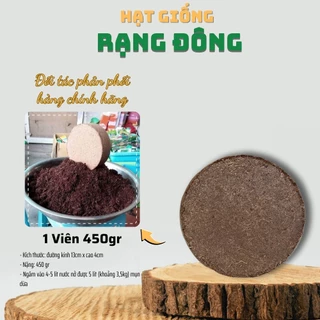 Mụn Xơ Dừa Viên Nén (450gr) giá thể trồng rau mầm,ươm cây con - Đất nén xơ dừa trồng rau thủy canh - Hạt giống Rạng Đông