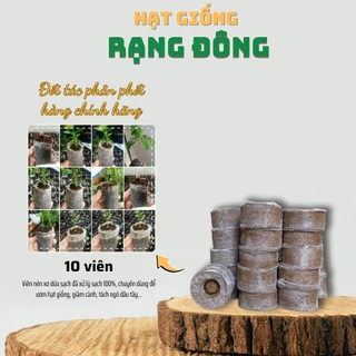 Viên Nén Xơ Dừa Ươm Hạt Giống (10 viên) viên nén sơ dừa tiện dụng, nảy mầm tốt hơn, sạch 100% - Hạt giống Rạng Đông
