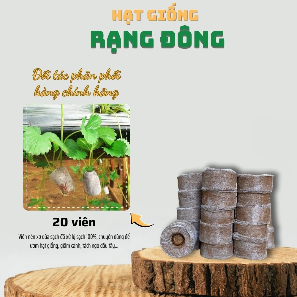 Viên Nén Xơ Dừa Ươm Hạt giống (20 viên) viên nén sơ dừa tiện dụng, tiết kiệm - Hạt giống Rạng Đông