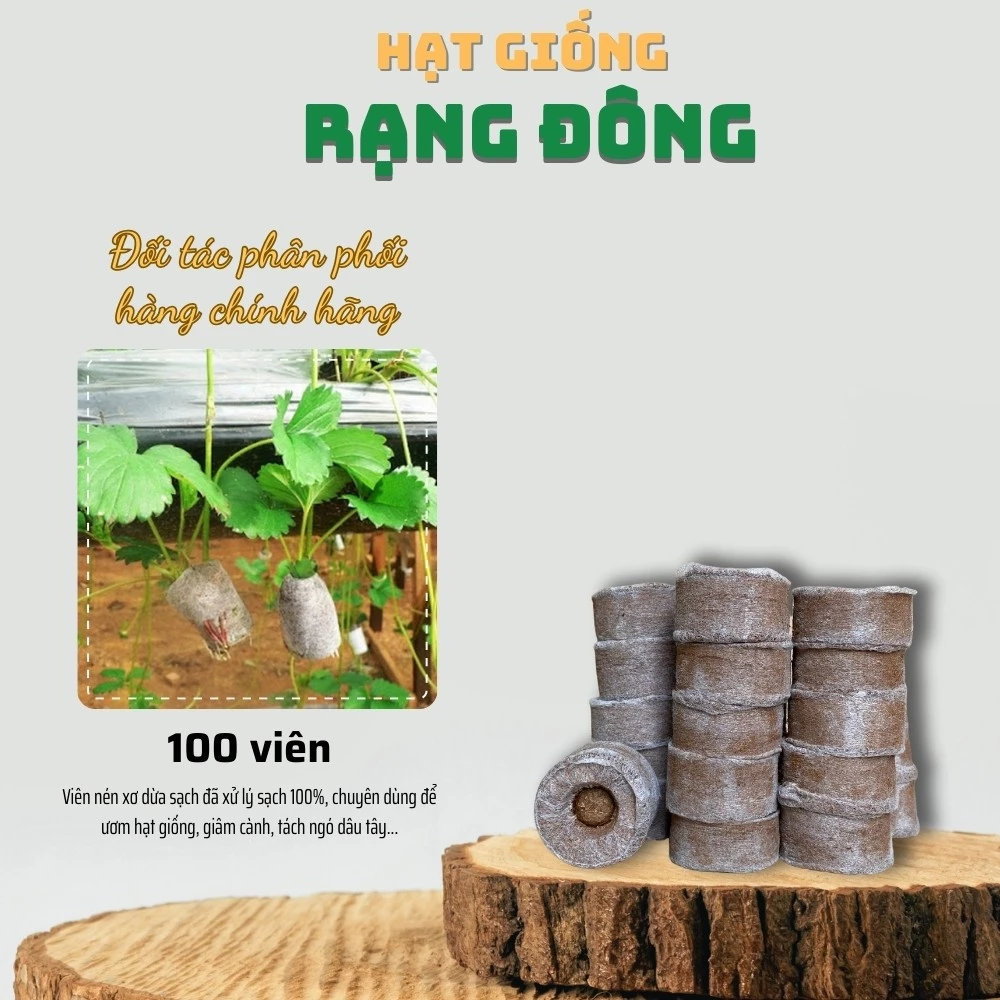 Viên Nén Xơ Dừa Ươm Hạt Giống (100 viên) viên nén sơ dừa tiện dụng, tiết kiệm thời gian, sạch 100% - Hạt giống Rạng Đông