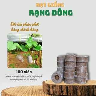 Viên Nén Xơ Dừa Ươm Hạt Giống (100 viên) viên nén sơ dừa tiện dụng, tiết kiệm thời gian, sạch 100% - Hạt giống Rạng Đông