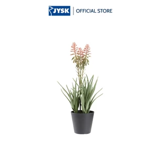 Cây trang trí | JYSK Rasmus | nhựa PE/thép | xanh lá/đỏ | C51cm