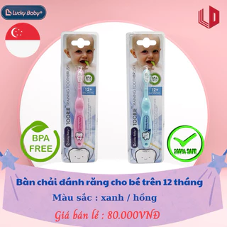 bàn chải đánh răng Luckybaby Singapore cho bé 12+