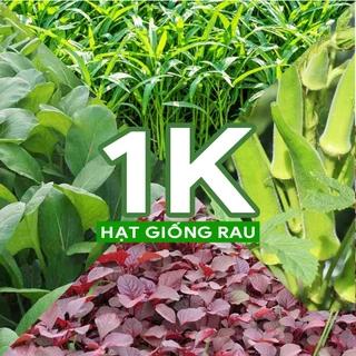 Hạt giống 1k rau củ quả các loại gói trồng thử tập làm vườn cùng shop Việt Xanh