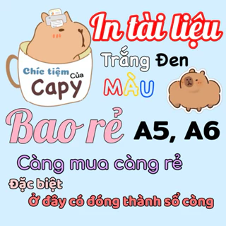 in tài liệu a5, a6 theo yêu cầu. In màu, in trắng đen