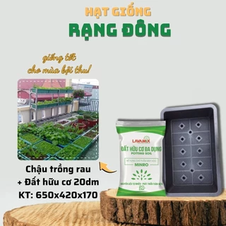 Khay Trồng Rau + Đất Trồng Cây 20dm - Combo khay kích thước 650x420x170 mm kèm Đất Lavamix 20dm - Hạt giống Rạng Đông