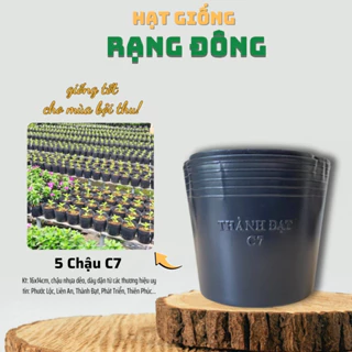 [5 cái] Chậu Trồng Cây Nhựa Dẻo C7 - KT: 16x14cm có lỗ thoát nước, dày dặn, mày đen, độ bền cao - Hạt giống Rạng Đông