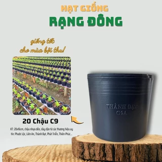 [20 cái] Chậu Trồng Cây Nhựa Dẻo C9 - KT: 20x16cm có lỗ thoát nước, dày dặn, mày đen, độ bền cao - Hạt giống Rạng Đông