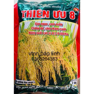 Hạt Giống Lúa Thuần Thiên ưu 8 NEW Gói 1KG.