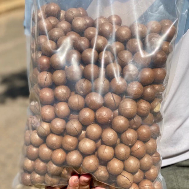 Macca Lâm Đồng Size VIP Túi 500gr và 1kg