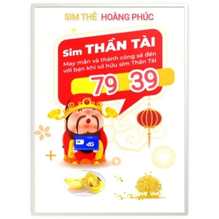 SIM MOBIFONE PHONG THỦY " 79 - 39 THẦN TÀI  "