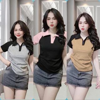 Áo Polo Cổ Bẻ Phối Màu Cá Tính Bigsize Nữ (68-95kg)