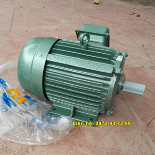 BÁN Động cơ Việt Hung 4kW | Motor VIHEM Việt Hung 4kW