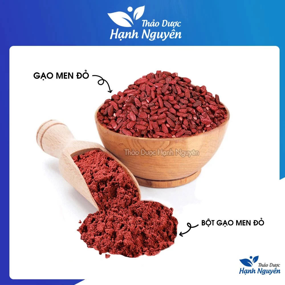 Gạo men đỏ 50 - 100g, hồng cúc mễ (bột và hạt tùy chọn) - Thảo Dược Hạnh Nguyên