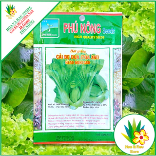 Hạt giống CẢI BẸ DƯA (TÒA XẠI) - Gói 20Gram - Phú Nông - Hoa và Rau Store - Cải Dưa - Dưa Cải - Cải Muối - Cải Chua - Cả