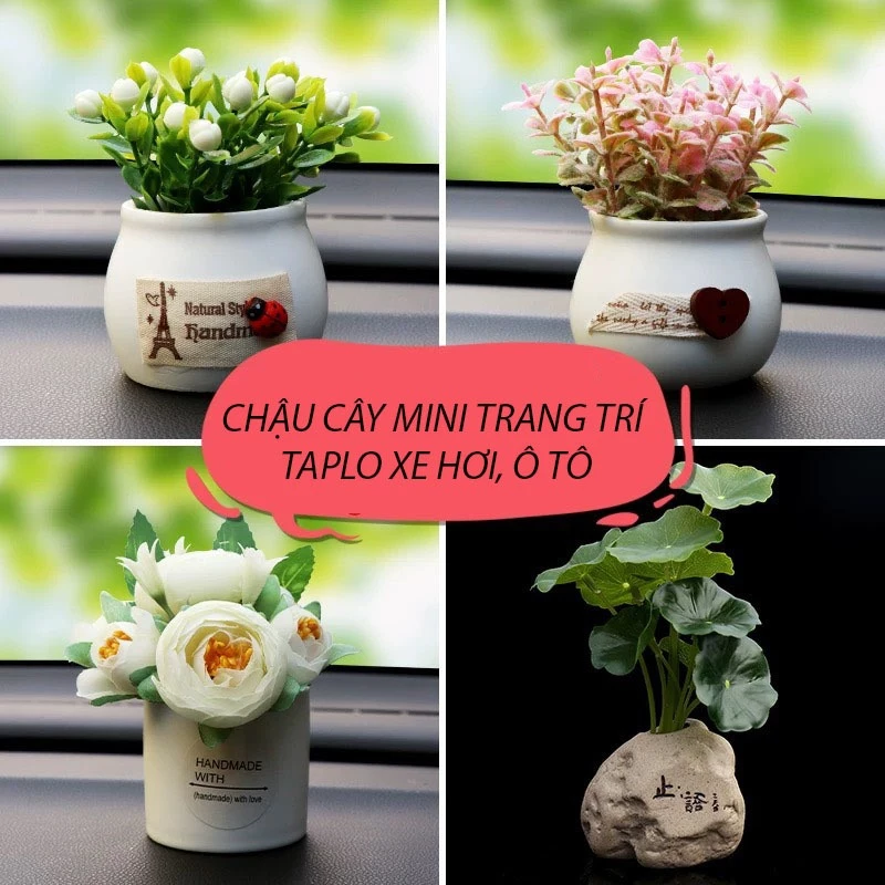 (decor) Chậu Cây Mini Trang Trí Taplo Ô Tô, Bàn Làm Việc Xanh Mát Sinh Động khaihuyauto