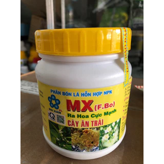 MX FBO MAI XUÂN - HỦ 400G