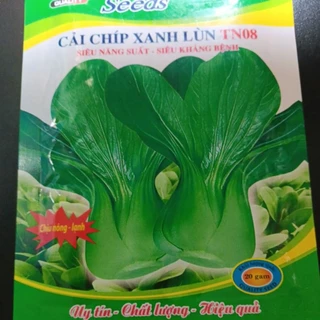 Cải Chíp xanh lùn  gói 20g