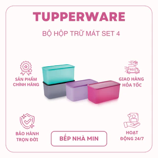 Bộ hộp bảo quản thực phẩm Tupperware 3.1L Funtastic