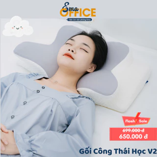 Vỏ gối Công Thái Học thế hệ 2 ( chỉ có vỏ)