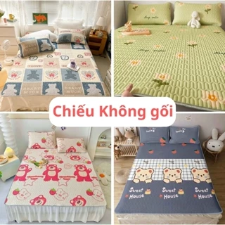 Chiếu điều hòa cao su non 5d ( Không Lấy Vỏ Gối ) 1m, 1m2, 1m4, 1m5, 1m6, 1m8 x 2m - chiếu Tencel Latex