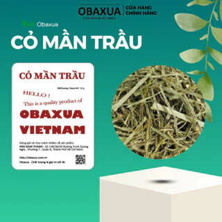 Cỏ Mần Trầu Obaxua - Thảo Dược Tự Nhiên Cho Sức Khỏe Và Sắc Đẹp