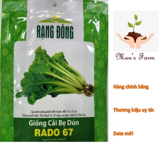 Hạt giống cải bẹ dún Rado 67 - gói 20g