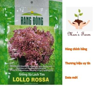 Hạt giống xà lách tím Lollo Rossa-gói 2g