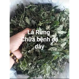 Lá đắng chữa dạ dày loại 1 Túi 1KG (lá cơm kìa), lá rau đắng rừng khô nấu canh dân tộc vùng cao tây bắc