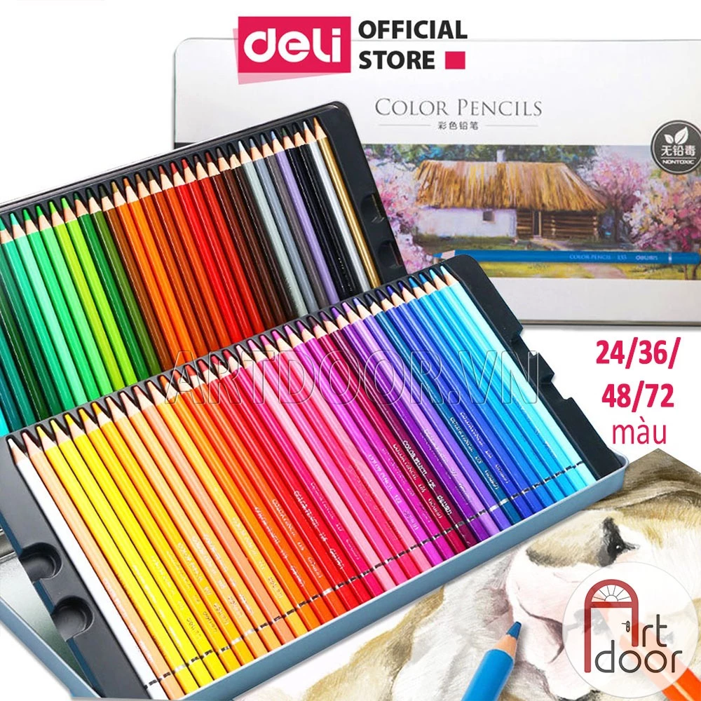 [ARTDOOR] Bộ chì màu Khô DELI gốc dầu (hộp thiếc)