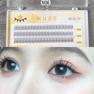 Mi rời tự gắn MUSE - N06