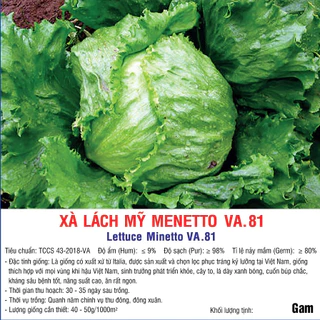 Hạt giống Xà Lách Mỹ Menetto (VA.81) 5gram