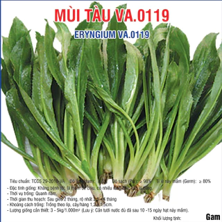 Hạt giống Mùi Tàu Cao Sản (VA.0119) - 5gram