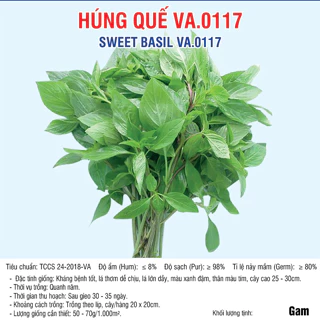 Hạt giống Húng Quế Cao Sản (VA.0117) - 10gram